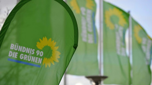 Gr&uuml;ne wollen gesetzliche St&auml;rkung von Demokratie und Teilhabe