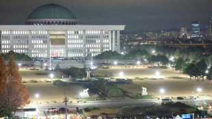 Gewerkschaftsverband in S&uuml;dkorea ruft zu Generalstreik bis zum R&uuml;cktritt Yoons auf 
