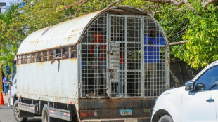 Rep&uacute;blica Dominicana ha deportado a m&aacute;s de 119.000 haitianos en 2025