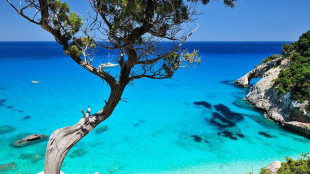 Consumatori, prezzi proibitivi, fino 950 euro per voli Sardegna