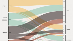 War's impact on fertilisers stirs food producer fears