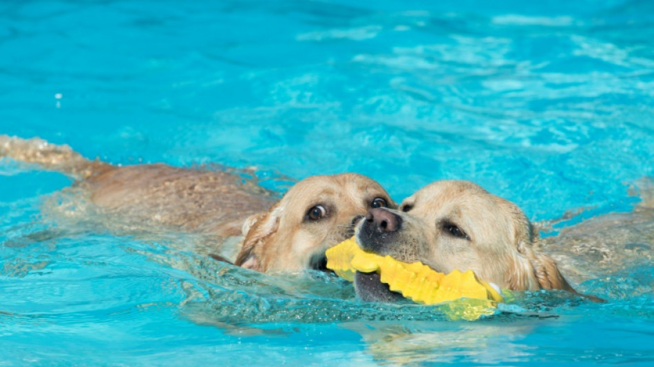 Vor Bau von Pool auf Gemeinschaftseigentum m&uuml;ssen andere Eigent&uuml;mer zustimmen