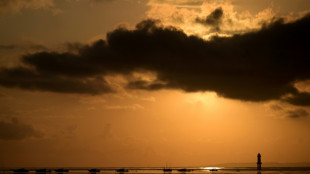 Una peruana detenida en Bali por tratar de pasar coca&iacute;na en un juguete sexual