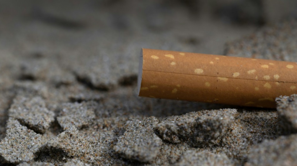Fran&ccedil;a pro&iacute;be fumar em praias e parques