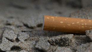 Francia proh&iacute;be fumar en playas y parques