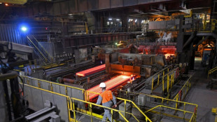 ArcelorMittal: 600 suppressions de postes en France, jusqu'&agrave; 1.400 postes europ&eacute;ens transf&eacute;r&eacute;s en Inde