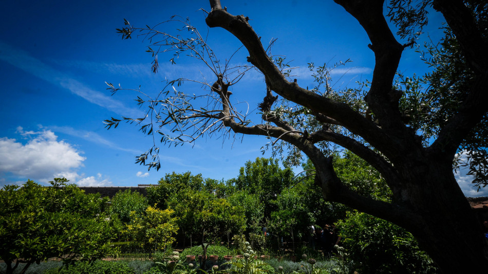 Istat, Italia arranca sullo sviluppo sostenibile, accelerare