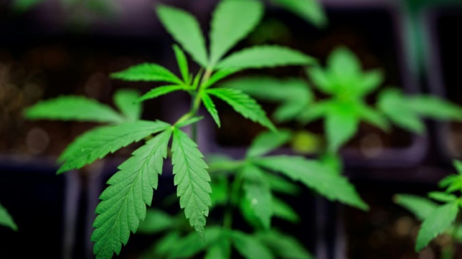 Mann gibt Marihuana an Sch&uuml;lerpraktikant von Polizei an M&uuml;nchner Flughafen