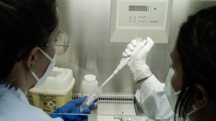 Dai tumori la chiave per rigenerare i nervi e il midollo spinale