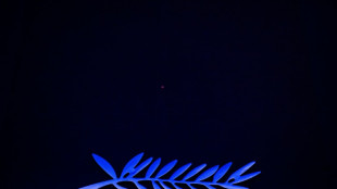 Le 78e Festival de Cannes d&eacute;voile sa s&eacute;lection officielle