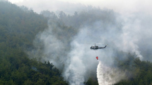 Riesiger Brand in einem der gr&ouml;&szlig;ten Nadelw&auml;lder im Libanon ausgebrochen