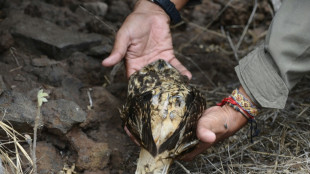 Ecuador introducir&aacute; especies desaparecidas en una isla de Gal&aacute;pagos