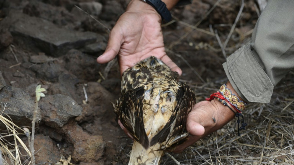 Gal&aacute;pagos invertir&aacute; 3,4 millones de d&oacute;lares para recuperar especies desaparecidas
