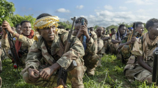 En Somalie, face aux shebab, la fragile ligne de front