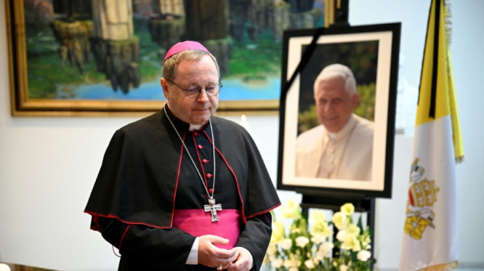 AfD nennt B&auml;tzings Generalkritik "politische Agitation"