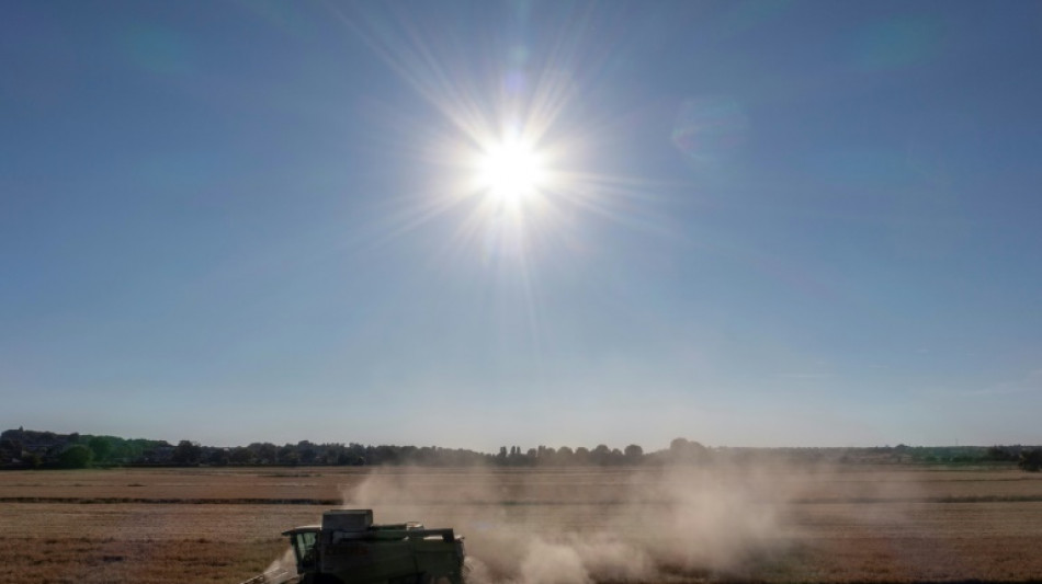 Fears for crops as drought hits northern Europe