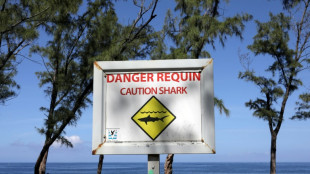 Studie: Licht an Surfbrettern sch&uuml;tzt vor Hai-Angriffen