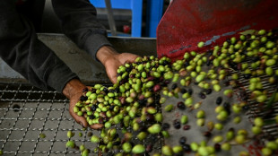 EU-Pr&uuml;fer kritisieren L&uuml;cken bei der Qualit&auml;tskontrolle von Oliven&ouml;l