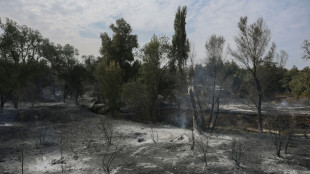 El calor que asola a Europa deja un muerto en un incendio en Espa&ntilde;a y sequ&iacute;a en Inglaterra