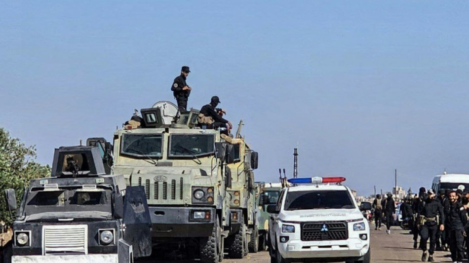 Une ONG accuse les forces syriennes d'avoir tu&eacute; 12 civils druzes