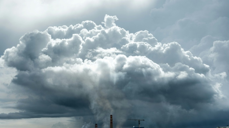 L'Indon&eacute;sie prend le contr&ocirc;le d'une partie de la plus grande mine de nickel au monde