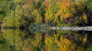 Deutschland erlebt zweitw&auml;rmsten Herbst seit Beginn systematischer Messungen