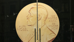 Nobel d'&eacute;conomie: intelligence artificielle ou &eacute;cart de richesse pour clore la saison 2025