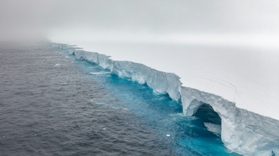 O&ugrave; le plus grand iceberg du monde finira-t-il sa course?