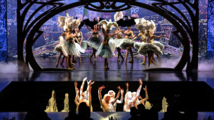 Clap de fin au Lido: la troupe veut en d&eacute;coudre