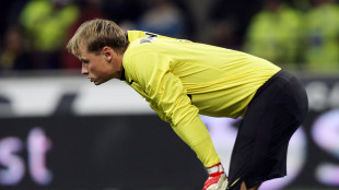 Morto in un incidente stradale a 48 anni l'ex portiere austriaco Manninger