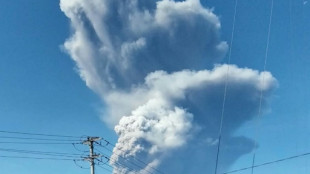 Hallados dos excursionistas muertos por la erupci&oacute;n de un volc&aacute;n en Indonesia