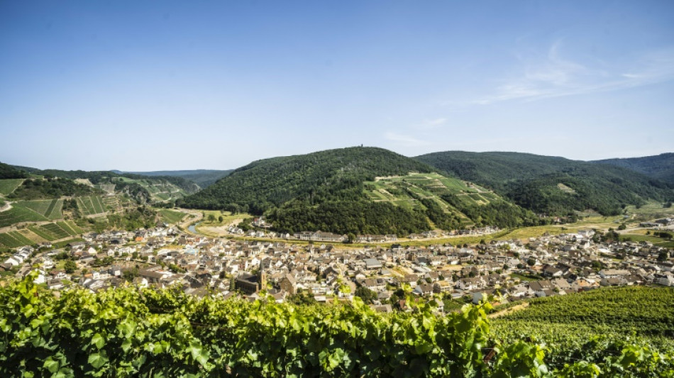 EU-L&auml;nder einigen sich auf Unterst&uuml;tzung f&uuml;r Weinbauern