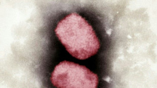 Stiko empfiehlt Impfung gegen Affenpocken f&uuml;r Risikopersonen