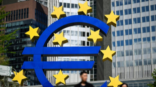 ECB's digital euro sparks flurry of online misinformation