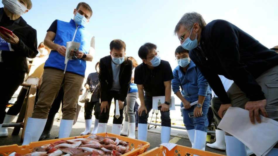Trotz radioaktivem Wasser: China will wieder Meeresfr&uuml;chte aus Japan importieren