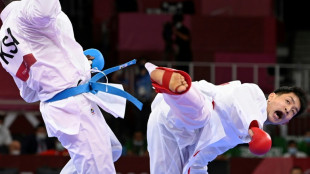 Japanischer Karatek&auml;mpfer treibt B&auml;ren mit Tritten in die Flucht