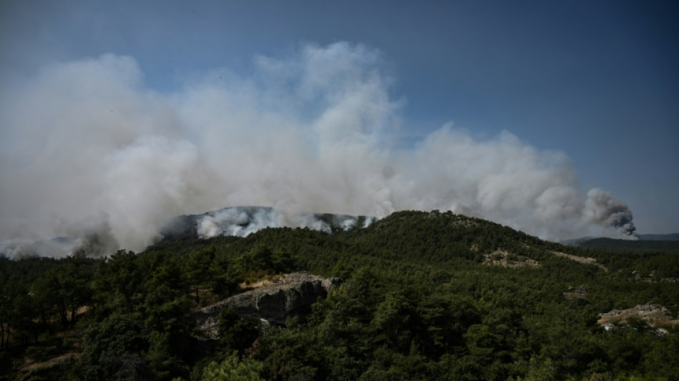 La Gr&egrave;ce frapp&eacute;e par &quot;le plus grand incendie jamais enregistr&eacute; dans l&#039;UE&quot;