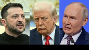 Putin not on Kremlin list for Ukraine talks in Turkey