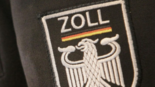 Zollbeamte entdecken an Karlsruher Flughafen 23 gesch&uuml;tzte Korallen in Gep&auml;ck