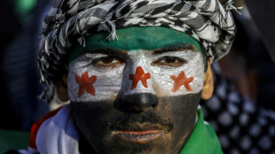 Turqu&iacute;a vislumbra oportunidades en la Siria pos-Asad