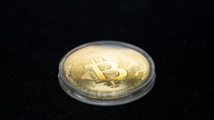 Criptovalute in rialzo, il Bitcoin sale oltre 79.000 dollari