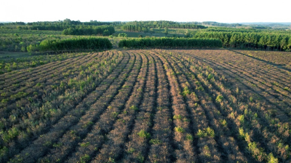 Climat: l'alimentation "doit &ecirc;tre mise sur la table", plaide une experte