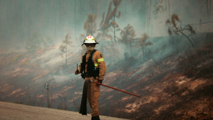 Fast 2700 Feuerwehrleute bek&auml;mpfen schwere Waldbr&auml;nde in Portugal