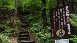 Gobernador japonés pide ayuda militar ante ataques de osos