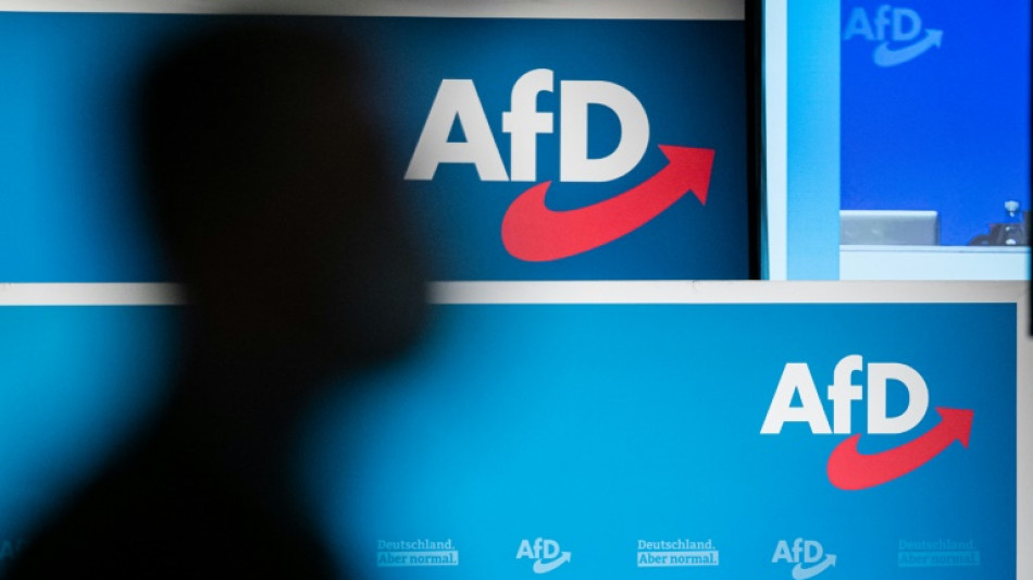 Wirtschaftsweise: AfD-Regierung in Sachsen-Anhalt w&uuml;rde Fachkr&auml;fte abschrecken&nbsp;