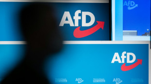 Wirtschaftsweise: AfD-Regierung in Sachsen-Anhalt w&uuml;rde Fachkr&auml;fte abschrecken&nbsp;