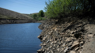Inglaterra vive su primavera más seca desde 1956