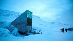 Des graines palestiniennes rejoignent l'"Arche de No&eacute; v&eacute;g&eacute;tale" en Arctique