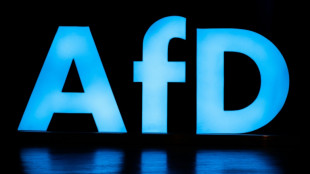 Union und SPD werfen AfD im Bundestag Handlanger-Dienste f&uuml;r Russland vor