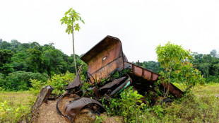 Loi simplification: un article sur la r&eacute;forme du code minier inqui&egrave;te les &eacute;cologistes en Guyane
